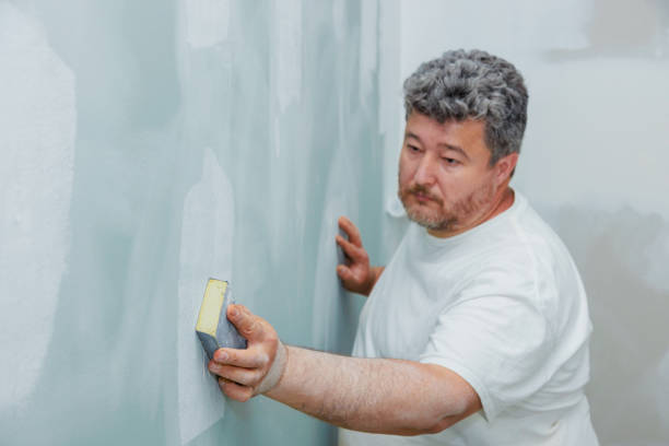 Best Drywall Texturing  in USA